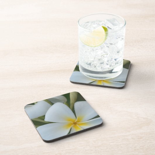 Blume der tropischen Plumeria aus Fidschi Untersetzer (Rechte Seite)