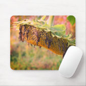 Blume der verblichenen Sonnenblumen Mousepad (Mit Mouse)