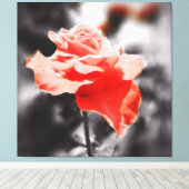 Blume der Vintagen Rose Leinwanddruck (Insitu (Holzboden))