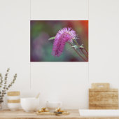 Blume der Violettwiese Poster (Küche)