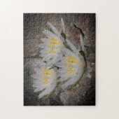 Blume der Wasserlilie Lotus auf Steinen Puzzle (Vertikal)