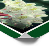 Blume der weißen Azalea mit Raindrops Abstrakt Poster (Ecke)