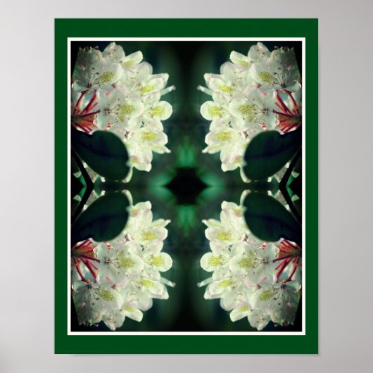 Blume der weißen Azalea mit Raindrops Abstrakt Poster (Vorne)