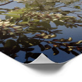 Blume der Weißen Johannisbeere blüht Tinten Poster (Ecke)