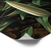 Blume der Weißen Lilie Art Print Poster (Ecke)