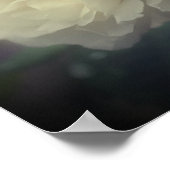 Blume der weißen Rose im Vollblutspiegel Abstrakt Poster (Ecke)