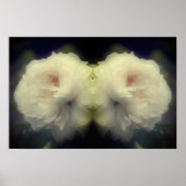 Blume der weißen Rose im Vollblutspiegel Abstrakt Poster (Vorne)