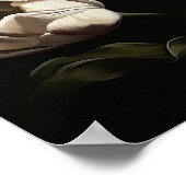 Blume der Weißen Tulip Art Print Poster (Ecke)