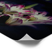 Blume der Weißen und Roten Lilie Abstrakt Poster (Ecke)