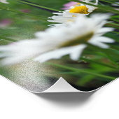 Blume der Welt Fotodruck (Ecke)