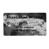 Blume der wild lebenden Bienen (Vorne)