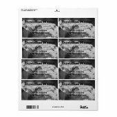 Blume der wild lebenden Bienen (Vorne)