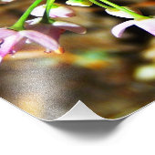 Blume der wilden Zwiebeln Fotodruck (Ecke)