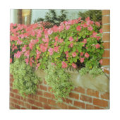 Blume der Windows-Box Fliese (Vorderseite)