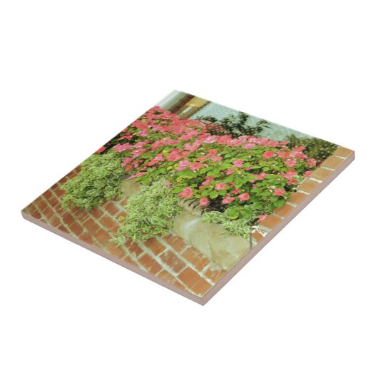 Blume der Windows-Box Fliese (Seite)