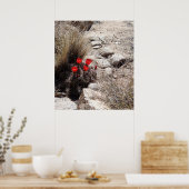 Blume der Wüste, Joshua-Tree-Nationalpark Poster (Küche)