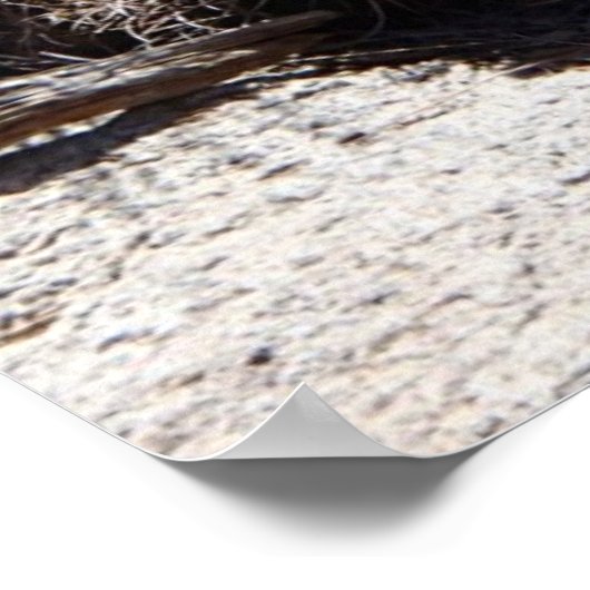 Blume der Wüste, Joshua-Tree-Nationalpark Poster (Ecke)