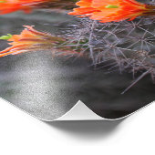 Blume der Wüstenkakteen Fotodruck (Ecke)