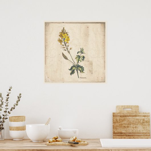 Blume des antiken Botanischen Druckposters Veronic Poster (Küche)