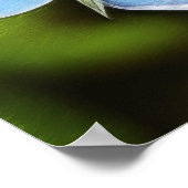 Blume des Blauen Imperiums (Anagallis monelli) Poster (Ecke)