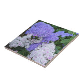 Blume des Blauen und des Weißen Ageratums Fliese (Seite)