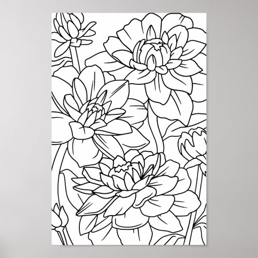 Blume des erwachsenen Lotus 1 Poster (Vorne)