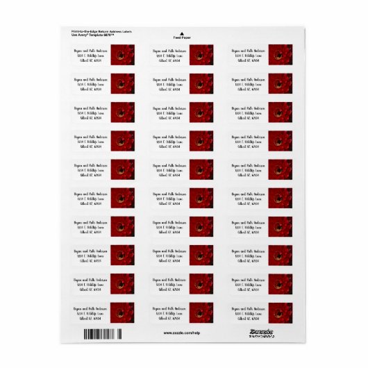 Blume des Feuerlichtkaktums (Vorne)