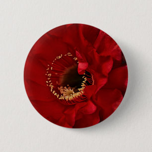 Blume des Feuerlichtkaktums Button
