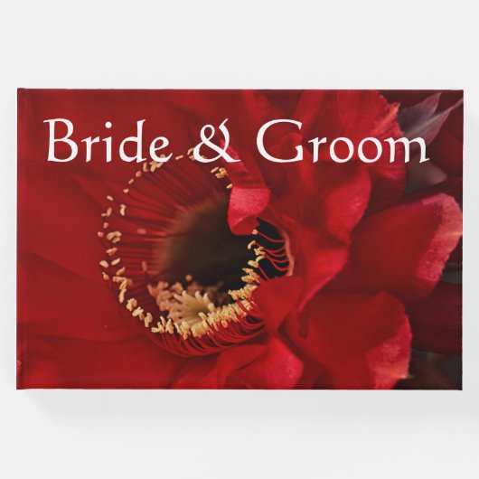 Blume des Feuerlichtkaktums Gästebuch (Vorderseite)