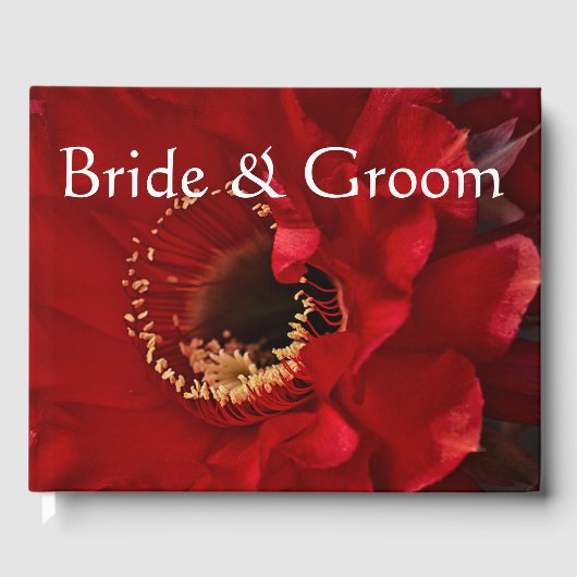 Blume des Feuerlichtkaktums Gästebuch (Vorderseite)