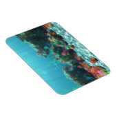 Blume des flexiblen Meeres Magnet (Rechte Seite)