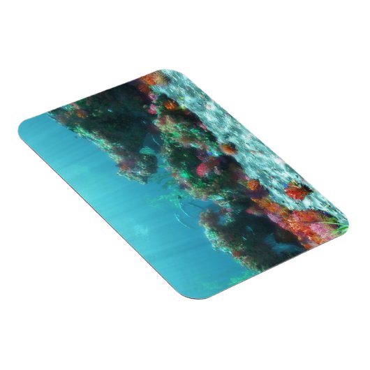 Blume des flexiblen Meeres Magnet (Rechte Seite)