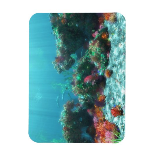 Blume des flexiblen Meeres Magnet (Vertikal)