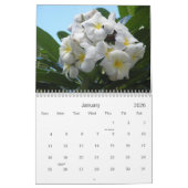 Blume des Foto-Kalenders von Hawaii Kalender (Jan 2026)