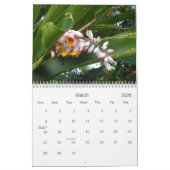 Blume des Foto-Kalenders von Hawaii Kalender (Mär 2026)