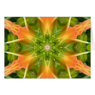 Blume des Friedens Mandala