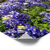 Blume des Glaubens 1 Chroniken 16:10 Art Poster (Ecke)