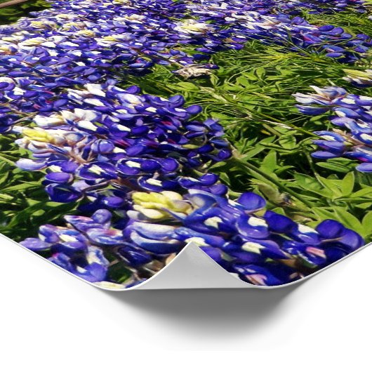 Blume des Glaubens 1 Chroniken 16:10 Art Poster (Ecke)