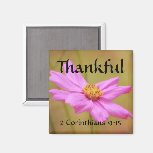 Blume des Glaubens 2 Corinthians Cosmos Magnet (Vorderseite/Rückseite)