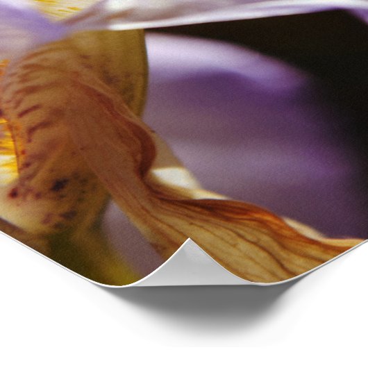 Blume des Glaubens Isaiah 60:1 Art Poster (Ecke)