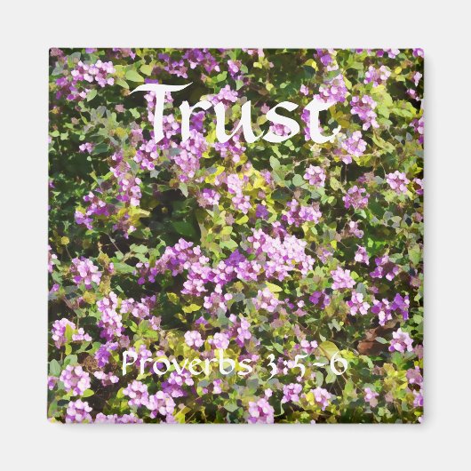 Blume des Glaubensstifters Magnet (Vorne)