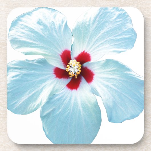 Blume des hawaiianischen Hibiskus Getränkeuntersetzer (Vorderseite)