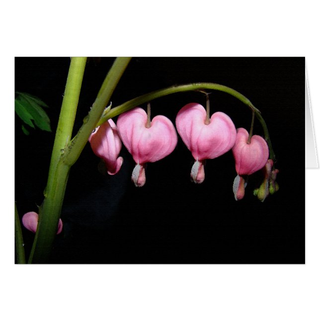 Blume des Herzens (Vorderseite (Horizontal))