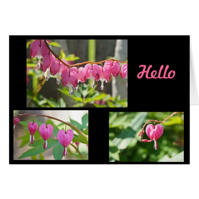 Blume des Herzens (Vorderseite (Horizontal))