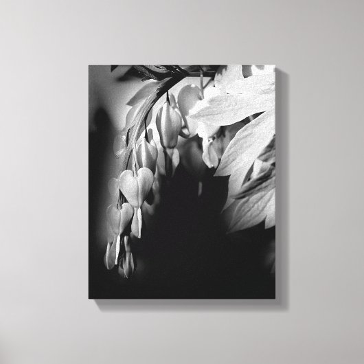 Blume des Herzens in Schwarz und Weiß Leinwanddruck (Vorderseite)