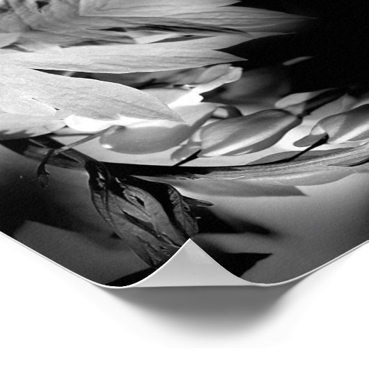 Blume des Herzens in Schwarz-Weiß Abstrakt Poster (Ecke)