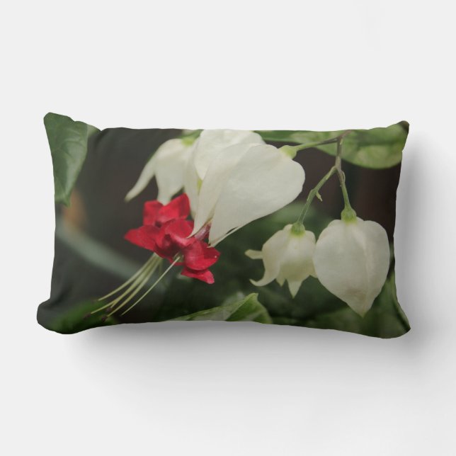 Blume des Herzens Lumbar Kissen (Vorderseite)