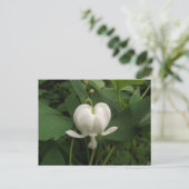 Blume des Herzens Postkarte (Stehend Vorderseite)