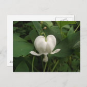 Blume des Herzens Postkarte (Vorne/Hinten)