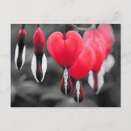 Blume des Herzens Postkarte